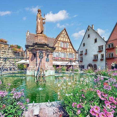 Hotel Colmar Vignes Eguisheim Exterior photo